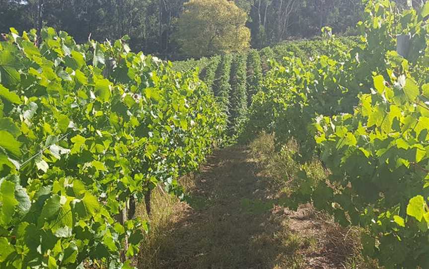 Precious Little Wine, Tooperang, South Australia