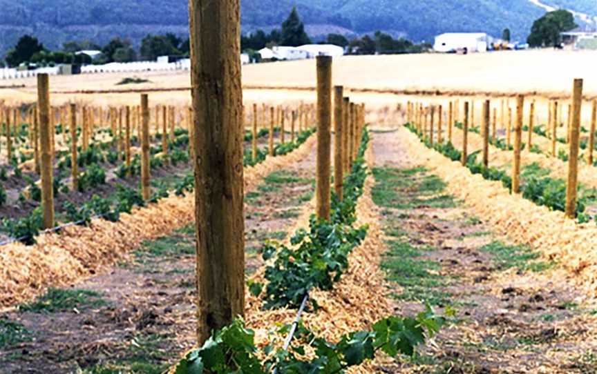 Yarra Park Vineyard, Wineries in Yering
