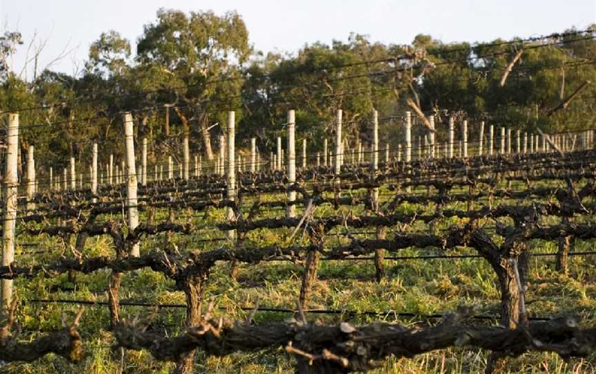 Wines by Geoff Hardy, Kuitpo, South Australia