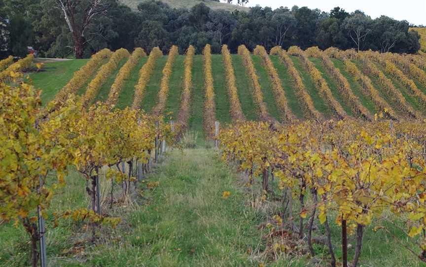 The Bridge Vineyard, Wineries in Heathcote