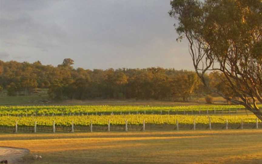 Savina Lane Wines, Severnlea, Queensland