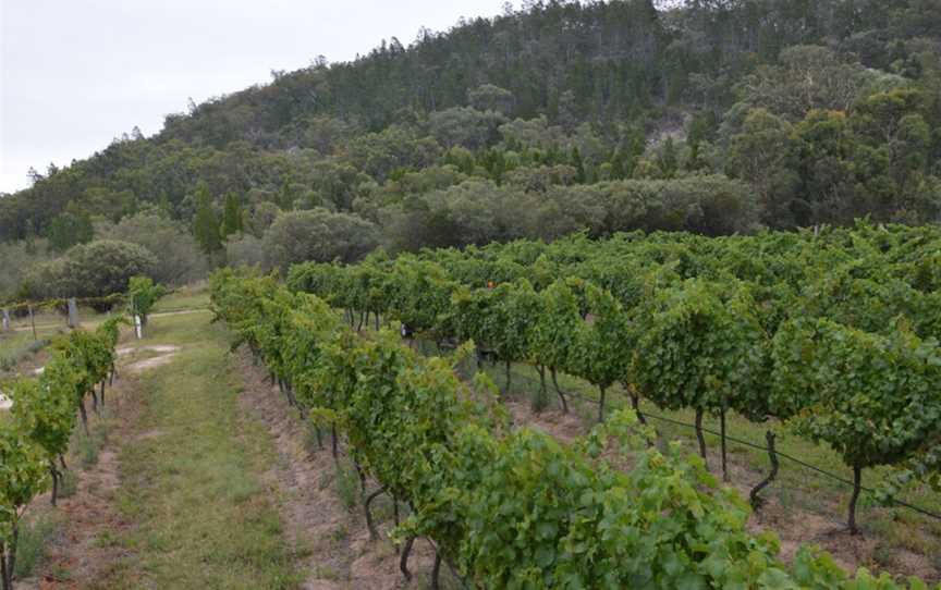 View Wine by Sancerre Estate, Ballandean, Queensland