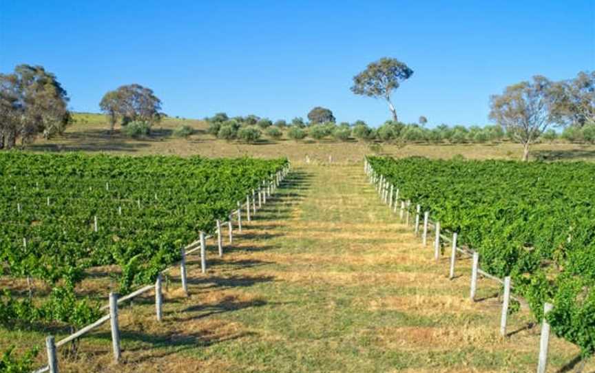 Barton Estate, Wineries in Murrumbateman