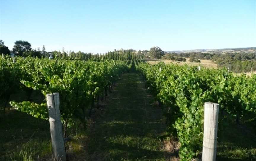 Bloodwood, Wineries in Orange-town