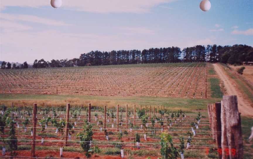 Boree Lane Wines, Lidster, New South Wales