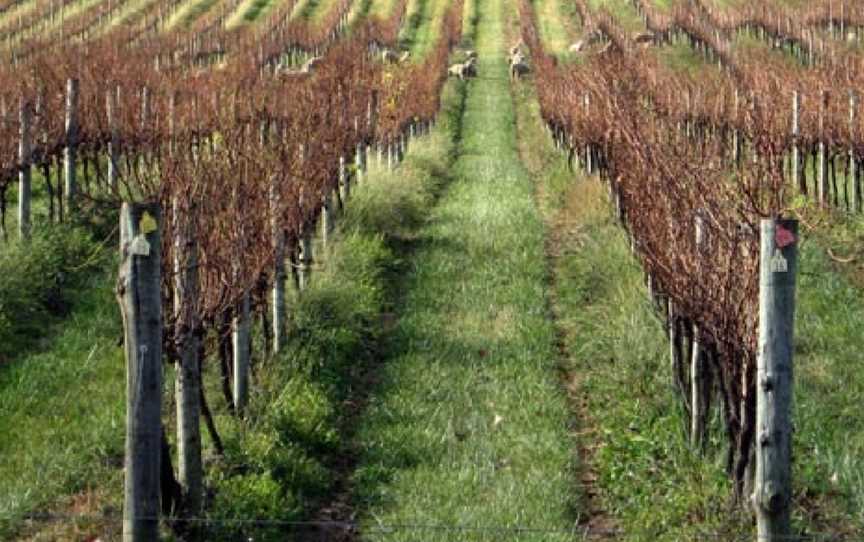 Centennial Vineyards, Bowral, New South Wales