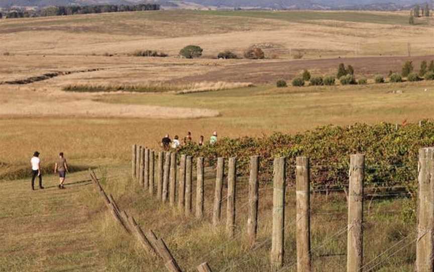 Mallaluka Wines, Yass, New South Wales