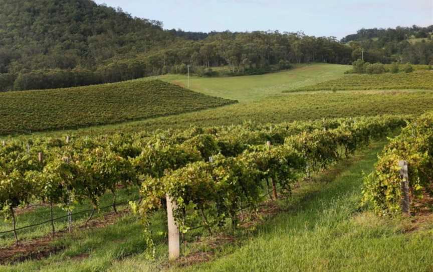 Mount Pleasant, Wineries in Pokolbin