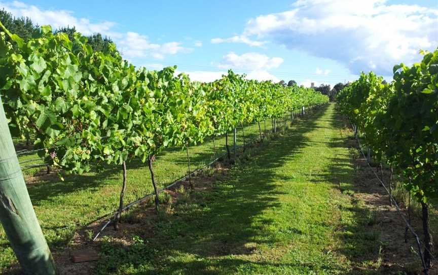 Sutton Forest Estate Wines, Wineries in Sutton Forest