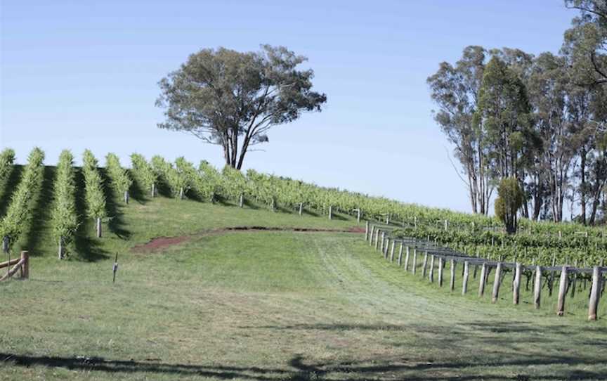 Topper's Mountain Wines, Wineries in Tingha