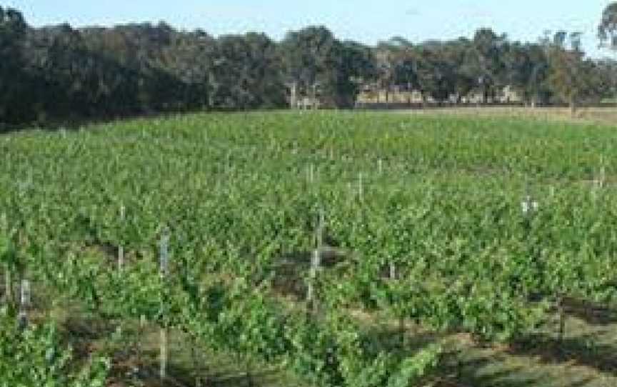 Yarralaw Springs Wines, Quialigo, New South Wales