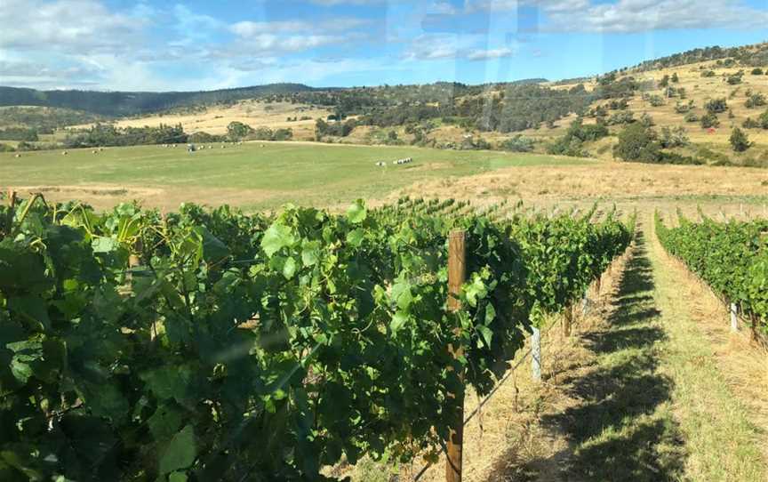 Brinktop Vineyard, Wineries in Penna