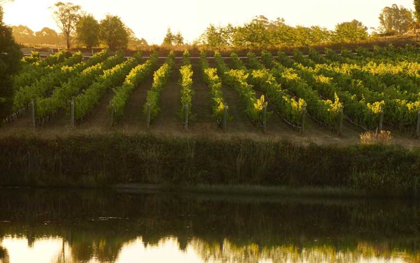 Brook Eden Vineyard, Wineries in Lebrina