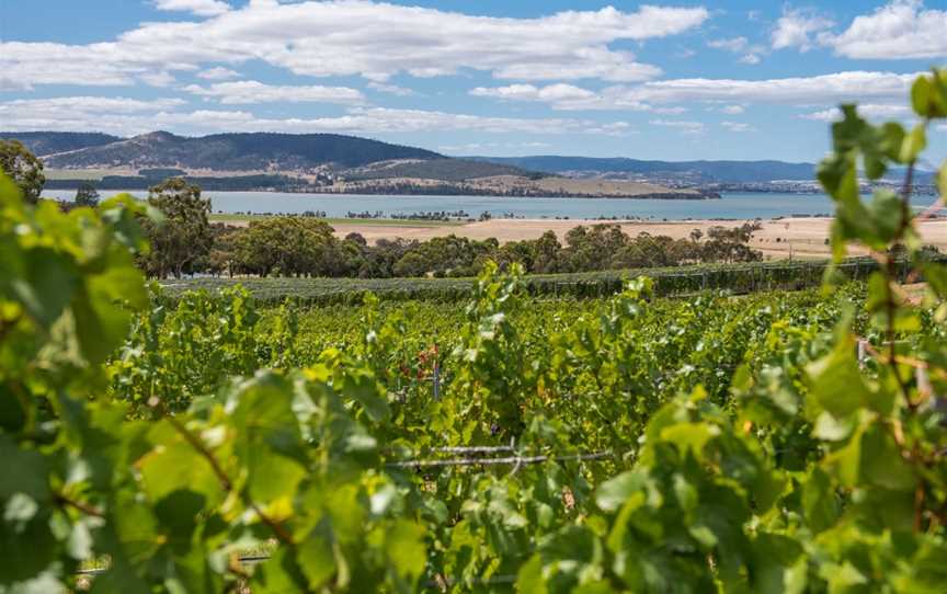 Coal Valley Vineyard, Cambridge, Tasmania