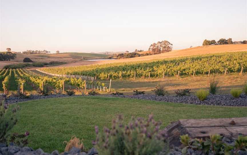 Eastford Creek Vineyard, Wineries in Sassafras