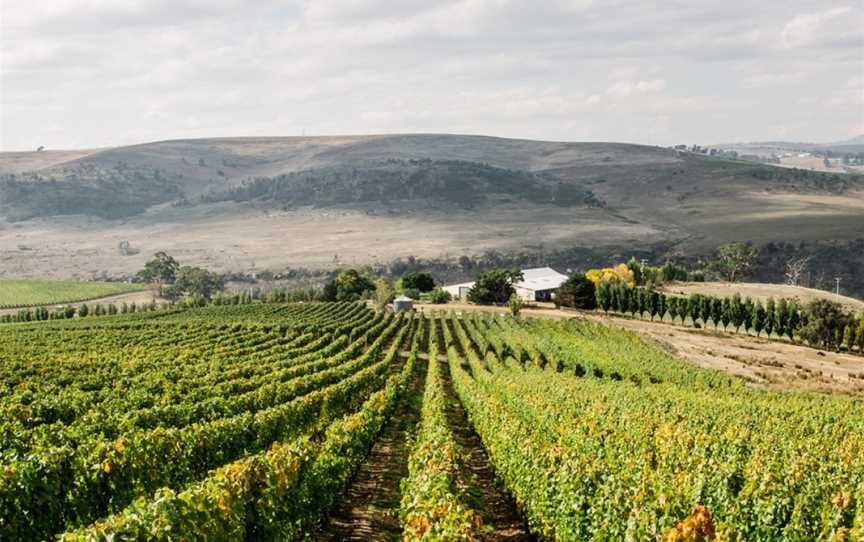 Glaetzer-Dixon Family Winemakers, Wineries in Hobart-suburb