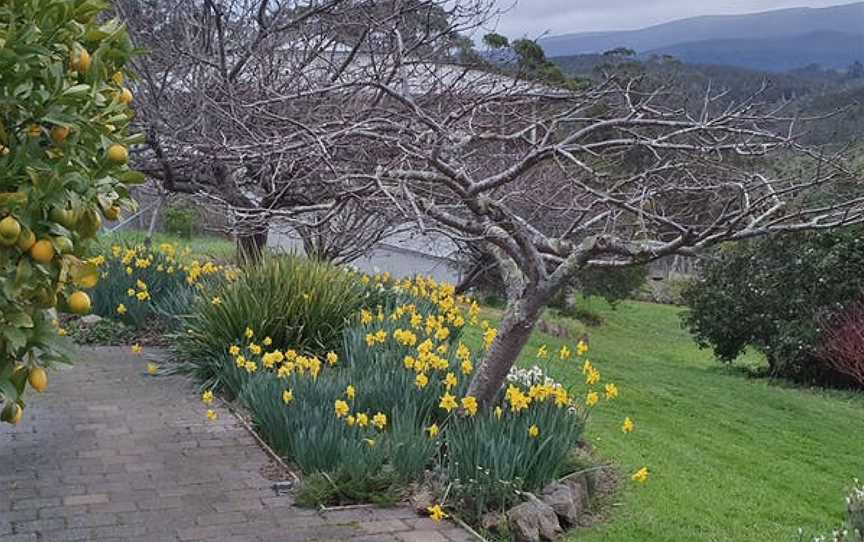 Nandroya Estate, Margate, Tasmania