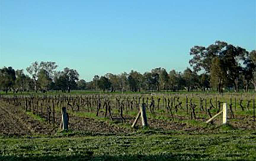 Markwood Estate, Wineries in Markwood