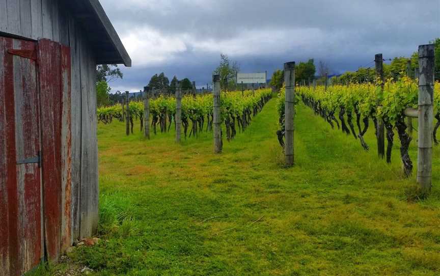 Providence Vineyards, Wineries in Lalla