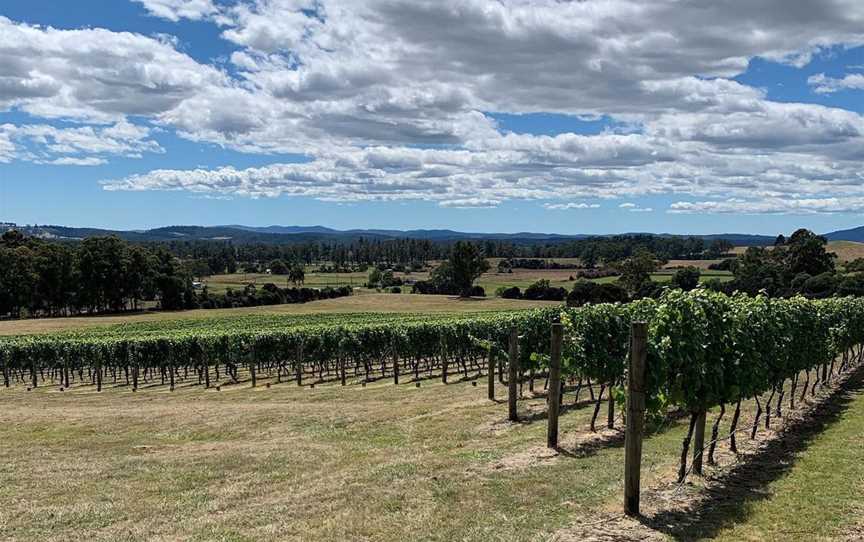 Small Island Wines, Wineries in Hobart - suburb