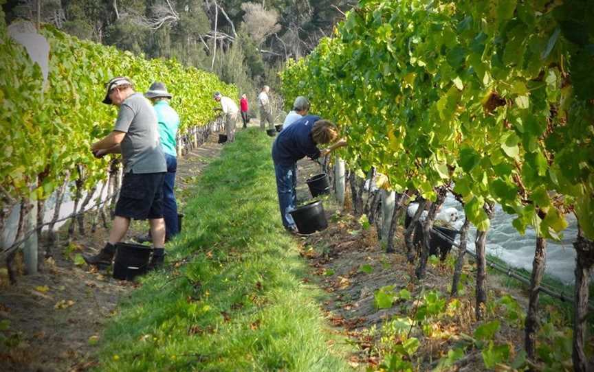 Unavale Vineyard, Wineries in Lady Barron