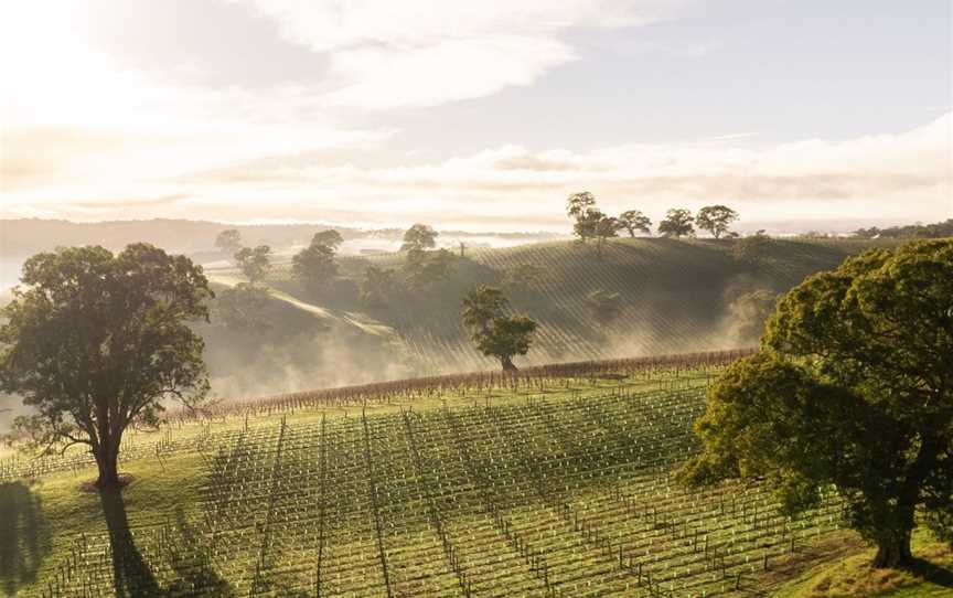 Saint & Scholar, Wineries in Verdun