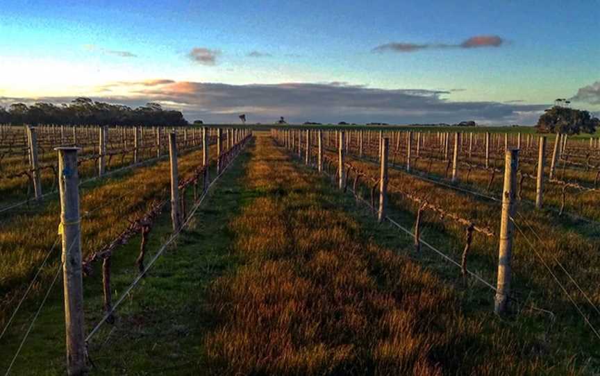 Kangaroo Island Estate, Wineries in Parndana