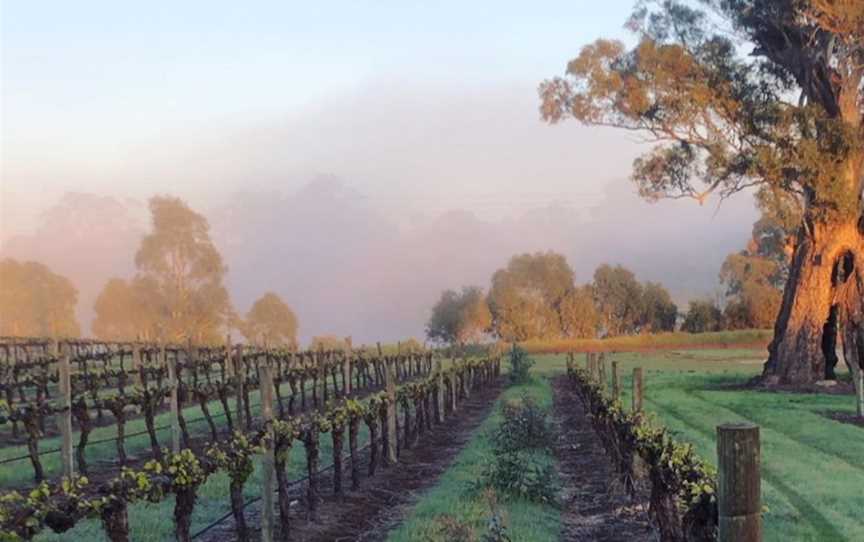 Sons of Eden, Wineries in Angaston