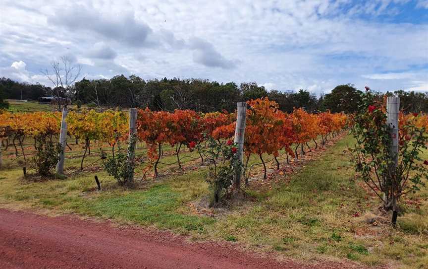 Just Red Wines, Wineries in Ballandean