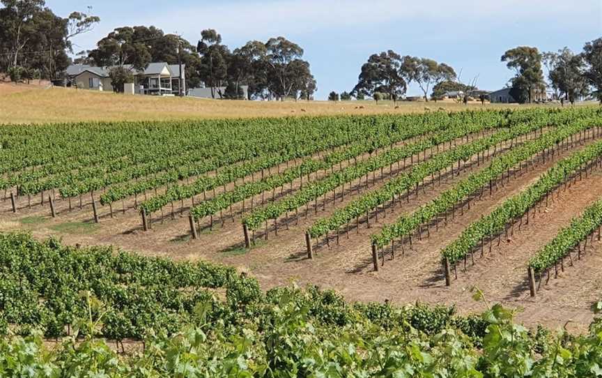 Neagles Rock Wines, Wineries in Emu Flat