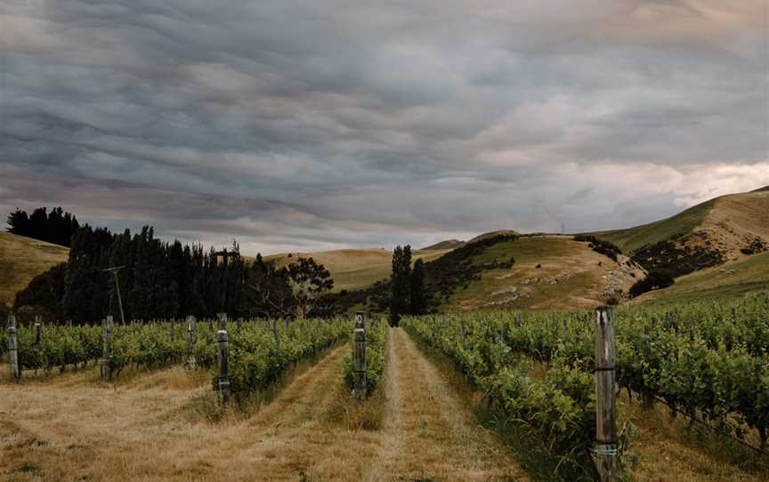 Antills, Amberley, New Zealand