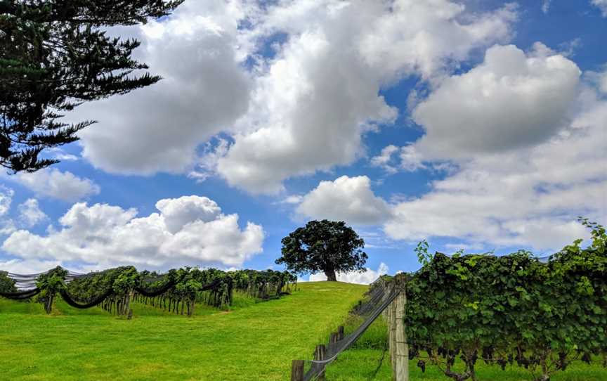 Goldie Estate, Surfdale, New Zealand