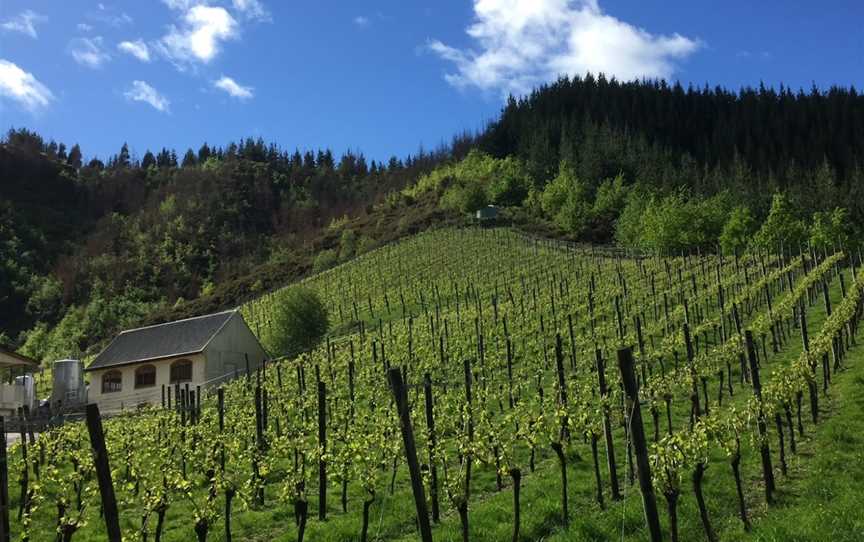 Johanneshof Cellars, Koromiko, New Zealand