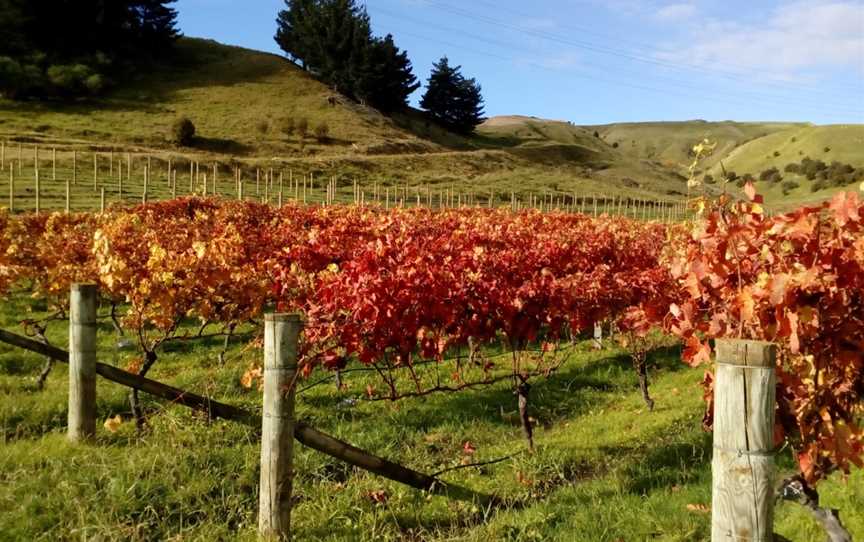 Linden Estate Winery, Esk Valley, New Zealand