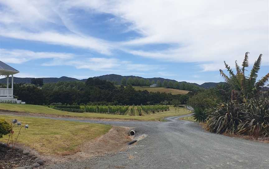 Millars Vineyard, Mangawhai, New Zealand