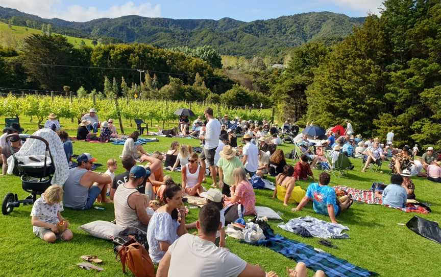 Te Whai Bay Wines, Mangawhai, New Zealand