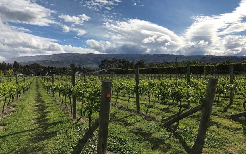 Weaver Estate Wines, Alexandra, New Zealand