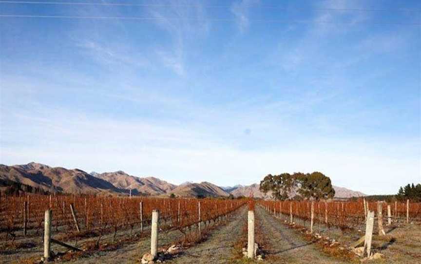 Four Hawk Day, Wineries in Waihopai Valley