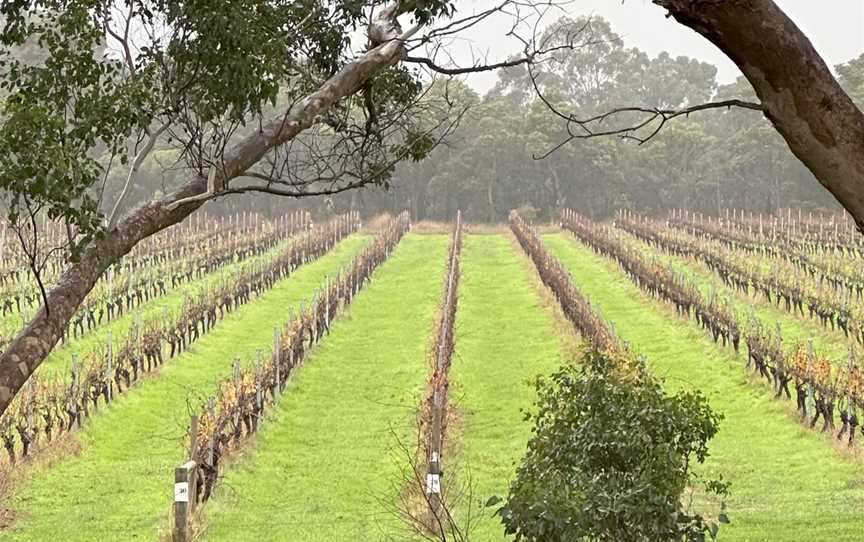 St Johns Wine Blackwood Valley, Wineries in Scotts Brook