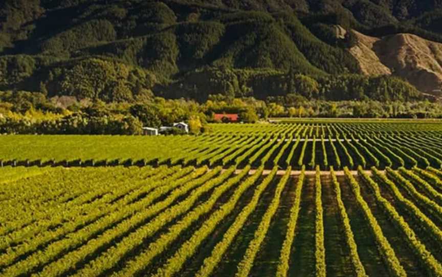 No 1 Family Estate, Wineries in Blenheim Suburb