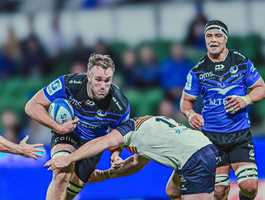 Western Force 2025 Super Rugby Pacific Season