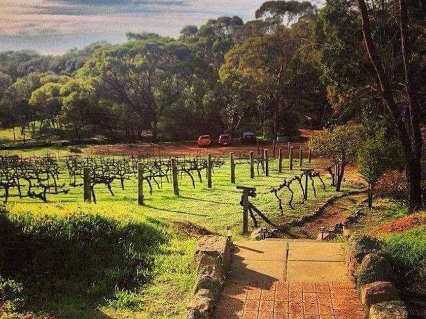 Avonbrook Wines - Accommodation, Accommodation in Clackline