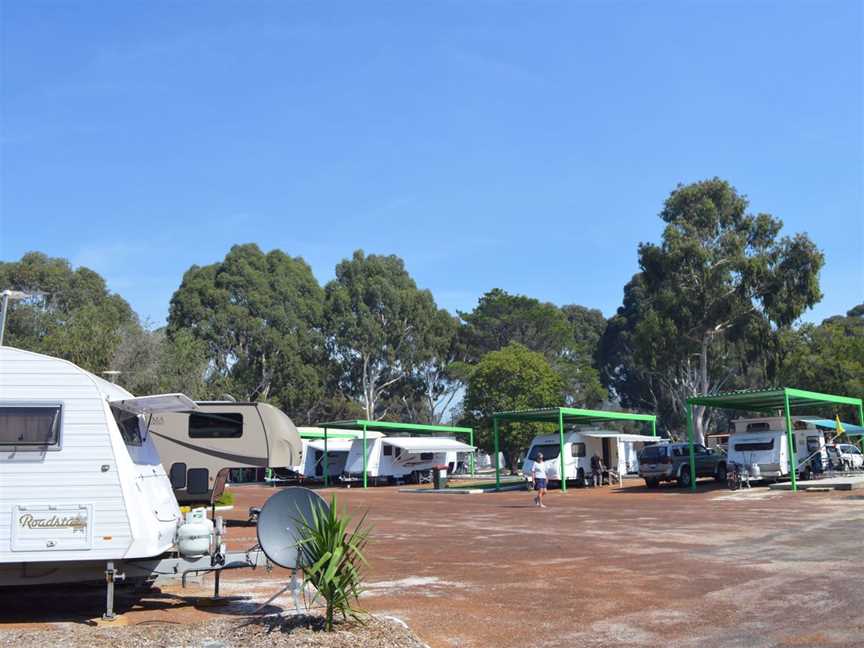 Collie River Valley Tourist Park, Accommodation in Collie