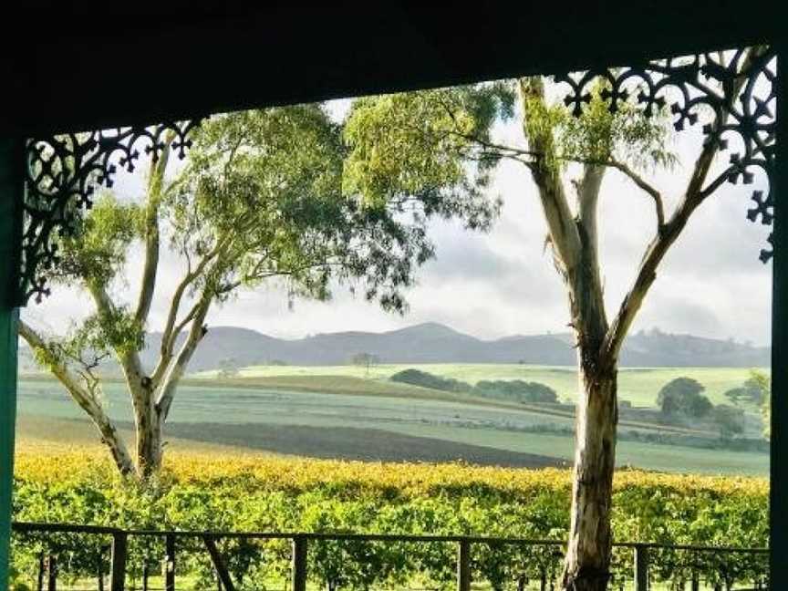 Azalea Cedar-Rose Barossa Valley Villa, Lyndoch, SA