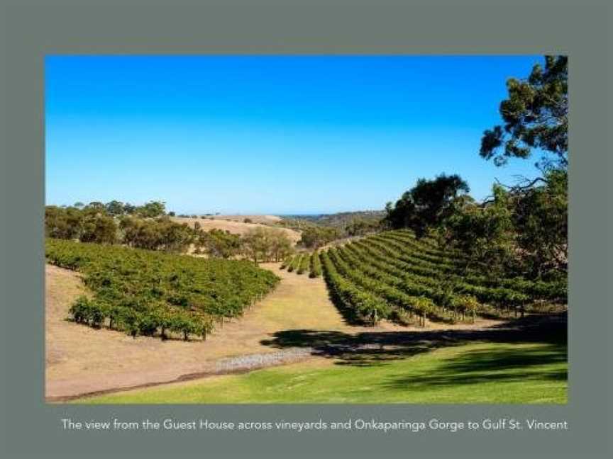 Chapel Hill Winery Guest House, Blewitt Springs, SA