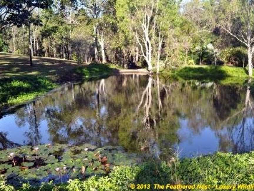 The Feathered Nest - Wildlife Retreat, Kuttabul, QLD