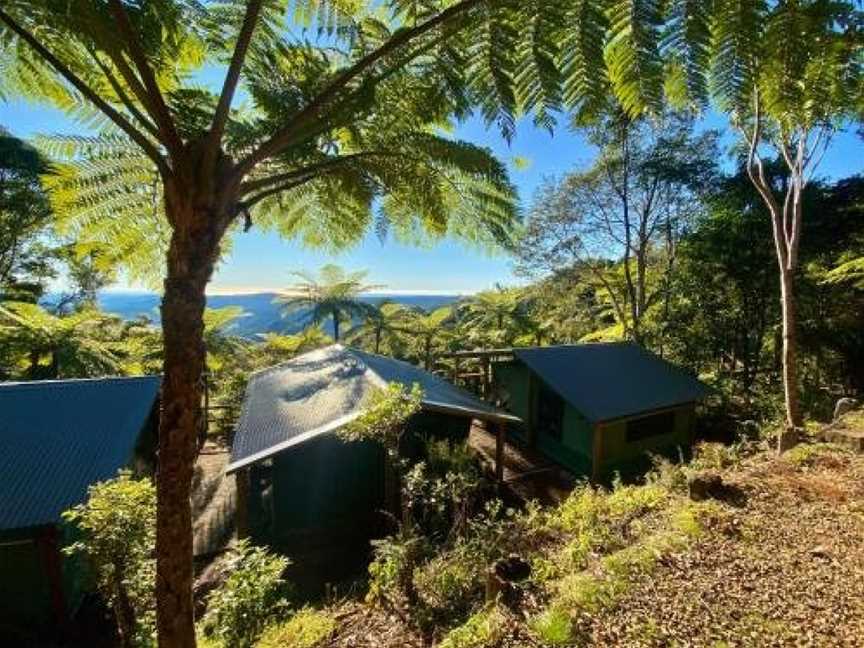 Binna Burra Lodge & Rainforest Campsite, Binna Burra, QLD