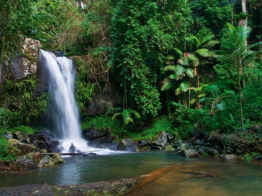 Pethers Rainforest Retreat, Tamborine Mountain, QLD