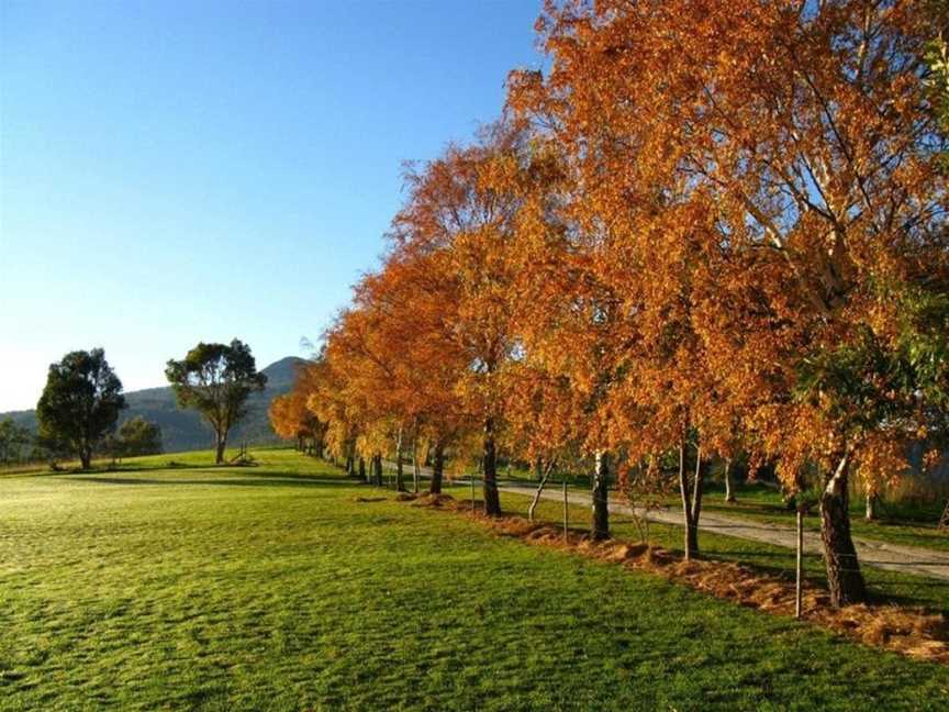 Plovers Ridge Country Retreat, Lilydale, TAS