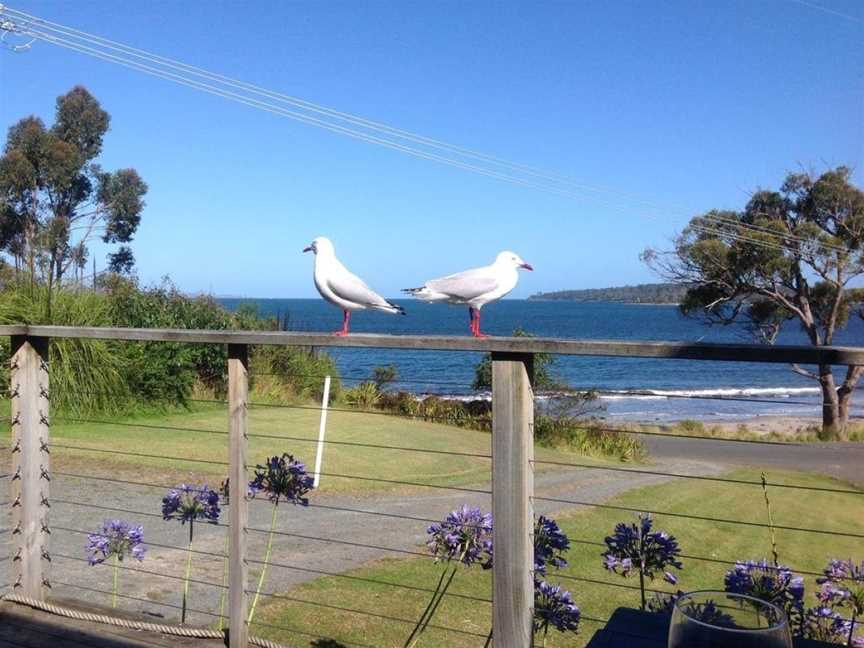 Summertime Cottage, Southport, TAS